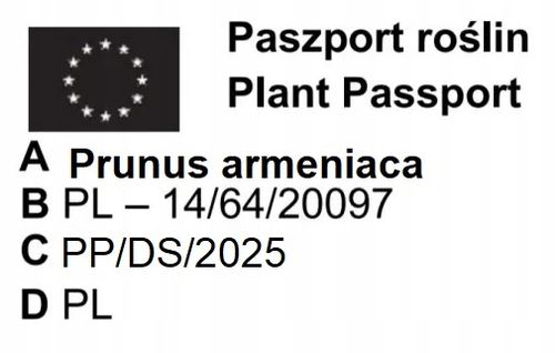JABŁOŃ GRUSZA CZEREŚNIA WIŚNIA BRZOSKWINIA MORELA KOLUMNOWE PAKIET 6 na Arena.pl