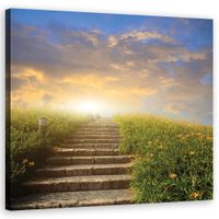 OBRAZ NA PŁÓTNIE Natura Pejzaż Łąka Kwiaty