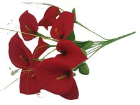 bukiet kwiaty kalie 10 kwiatów czerwone 40 cm
