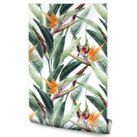 Tapeta Do Sypialni Barwne KWIATY Strelicji Natura Rośliny Liście Akwarela