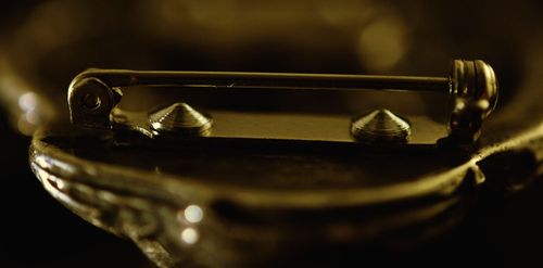 Cairn Terrier - klips - 1028 na Arena.pl