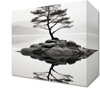 Obraz 20x20cm Samotne Drzewo