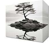 Obraz 20x20cm Samotne Drzewo