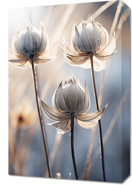 Obraz 40x60cm Poetycka Jesień zdjęcie 1