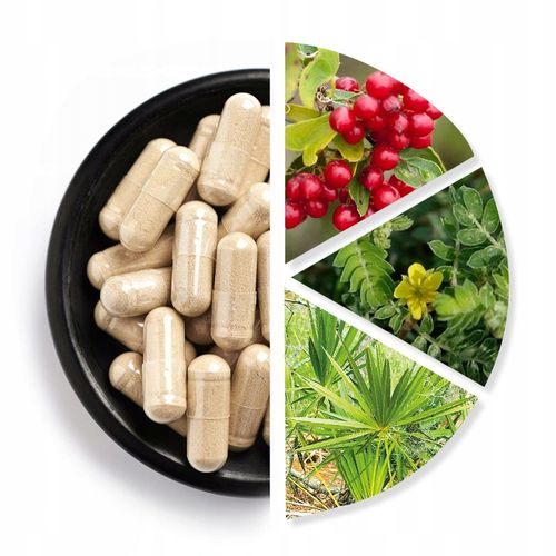 XtraBig - Suplement diety na męskość na Arena.pl