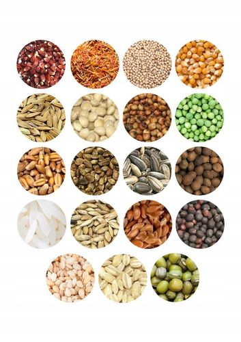 Karma dla gołębi STANDARD S Kampol 25kg na Arena.pl