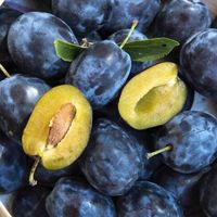 product-compare-61656084