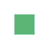 KARTON A4 20 KRESKA ZIELONY