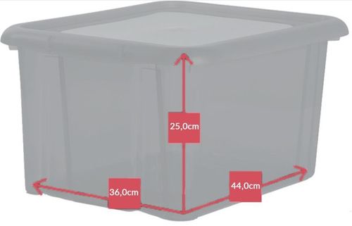 Pudełko Funny 30L naturalny na Arena.pl