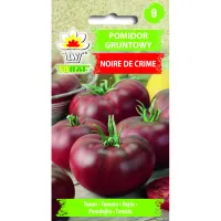 Pomidor gruntowy wysoki NOIRE DE CRIME 0,5g