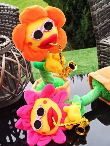 ŚPIEWAJĄCY TAŃCZĄCY KWIATEK z saksofonem SŁONECZNIK JAK KAKTUS na Arena.pl