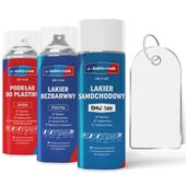 lakier samochodowy w sprayu zestaw do zderzaków bmw 300 alpinweiss iii