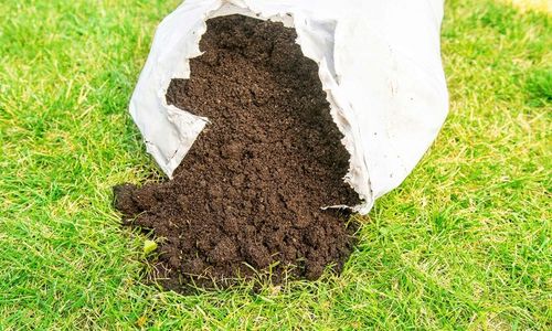 Torf Kwaśny Podłoże z EKO Nawozem BORÓWKA IGLAKI na Arena.pl