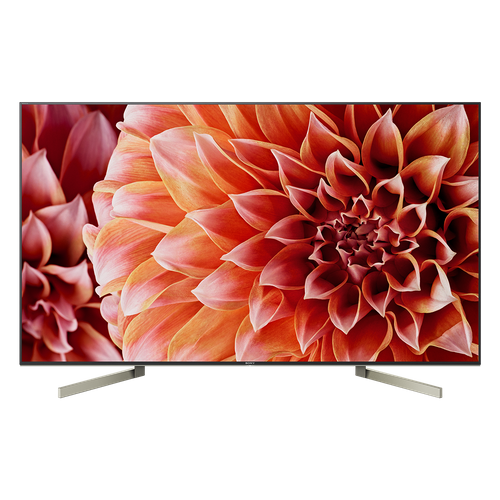 Telewizor SONY KD-65XF9005 na Arena.pl