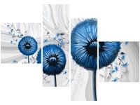 product-compare-58677872