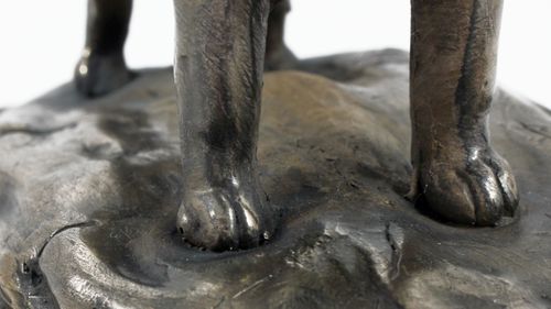 Labrador Retriever - figurka - 607 na Arena.pl