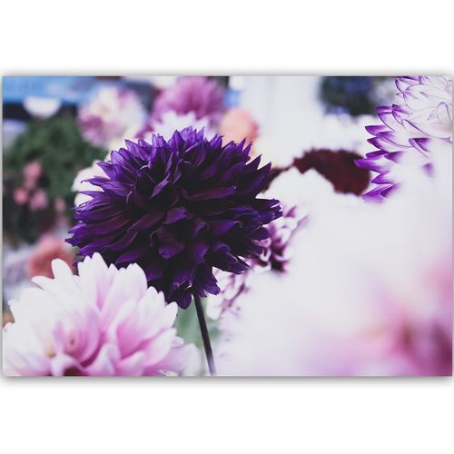 Deco Panel, Dalie 60x40 na Arena.pl