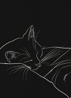 Plakat 40x55cm Nocny Spokój