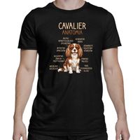 Cavalier – anatomia - męska koszulka na prezent M Czarny T-shirt - PIES