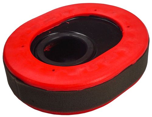 FILTR POWIETRZA LONCIN DO SILNIKA LONCIN LC2V80 (T231) 180100113-0001 na Arena.pl