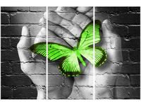OBRAZ GREEN BUTTERFLY MOTYL DŁOŃ CEGŁA
