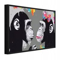product-compare-63669916