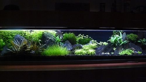 Czarny Piasek Żwirek do Akwarium Naturalny Doskonały dla Roślin 24kg 2-3mm na Arena.pl