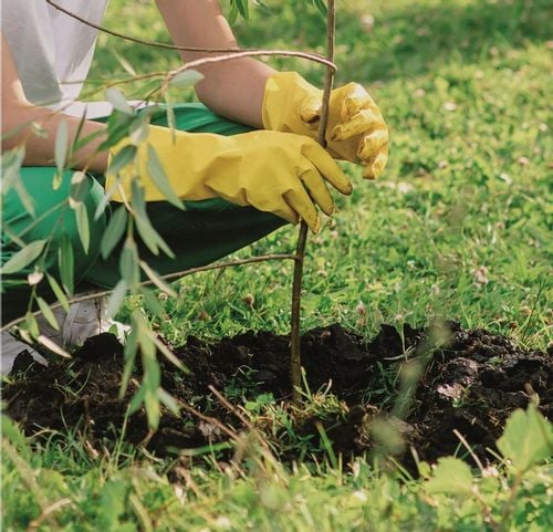Spalinowy Świder Ziemny Wiertnica Spalinowa Glebowa 2 Wiertła SCHEPPACH na Arena.pl