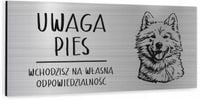 Tabliczka dibond uwaga pies Samoyed 20x10 cm z NADRUKIEM UV