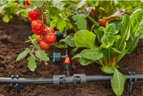 Rozdzielacz GARDENA Micro-Drip-System 13204-20 na Arena.pl