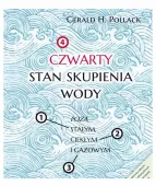 Czwarty stan skupienia wody