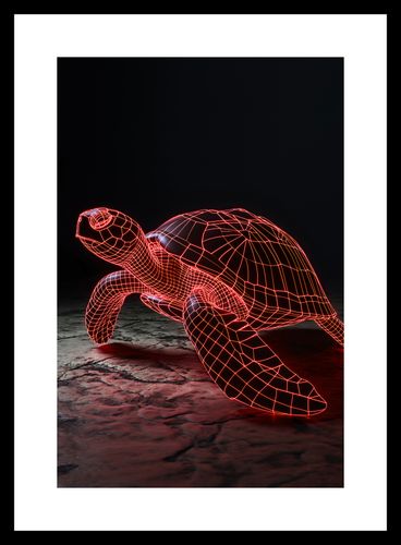 Plakat 20x30cm Neonowy Żółw na Arena.pl