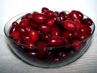 Dereń jadalny Swietljaczok P9