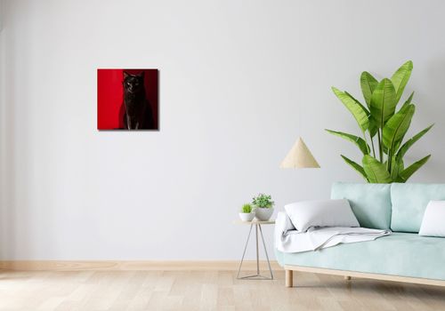 Obraz 40x40cm Elegancja w Cieniu na Arena.pl