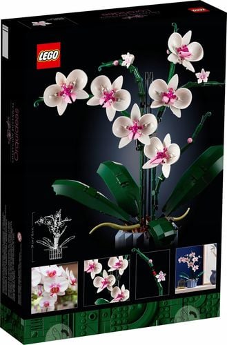 LEGO Icons Orchidea 10311 na Arena.pl