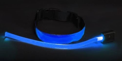 Obroża LED niebieska - M na Arena.pl
