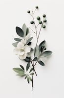 Plakat 56,6x86,4cm Papierowy Kwiat