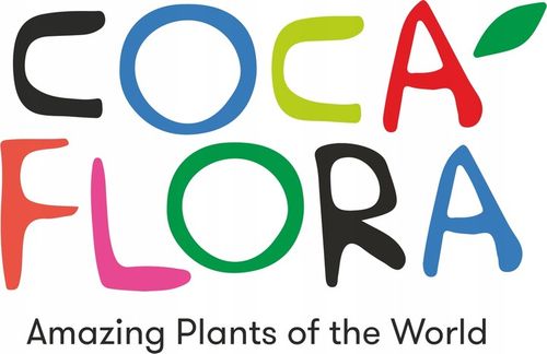 Drosera Capensis CZERWONA ROSICZKA Przylądkowa TROPIKALNA Owadożerna - na Arena.pl