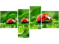 100 55CM OBRAZ 4 ELEM BIEDRONECZKI PŁÓTNO DRUK