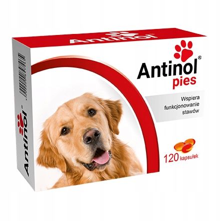 ANTINOL Pies 120 kapsułek Wspiera funkcjonowanie stawów BIOVICO na Arena.pl