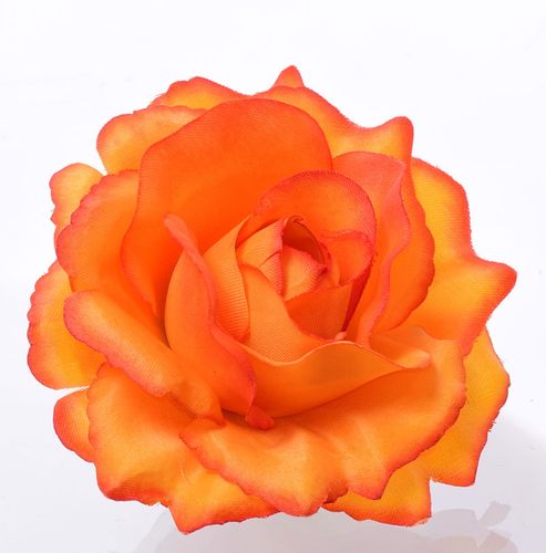 Róża główka na Arena.pl