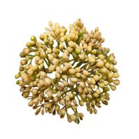 Czosnek wyrobowy kremowo zielony 12 szt