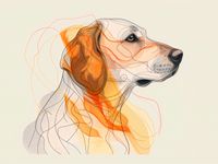 Plakat 80x60cm Kontur Profilowego