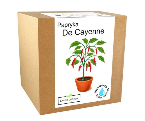 ZESTAW DO UPRAWY PAPRYKA CHILI DE CAYENNE PAPRYKA OSTRA NASIONA 5 SZT na Arena.pl