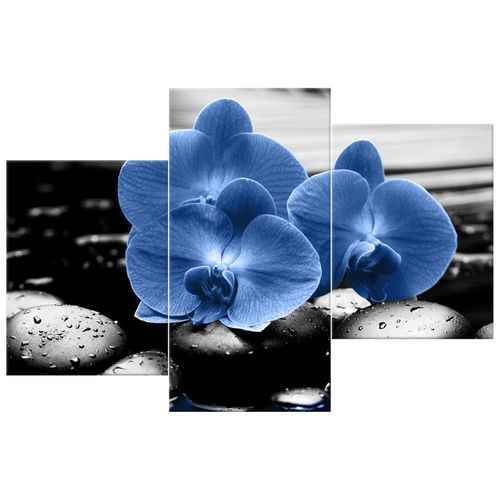 Obraz Płótno 90X60 Granatowe Storczyki na Arena.pl