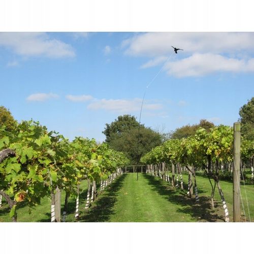 Odstraszacz Ptaków Szpaków CH2 z Masztem 4m na Arena.pl