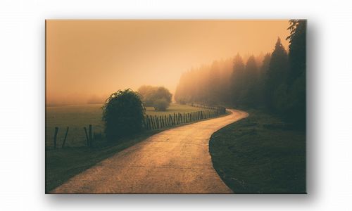 OBRAZ NA PŁÓTNIE 020 Dróżka 60x40cm na Arena.pl