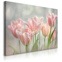 Obraz Canvas Różowe Tulipany Kwiaty Rośliny Natura Do Salonu 70cm x 50cm