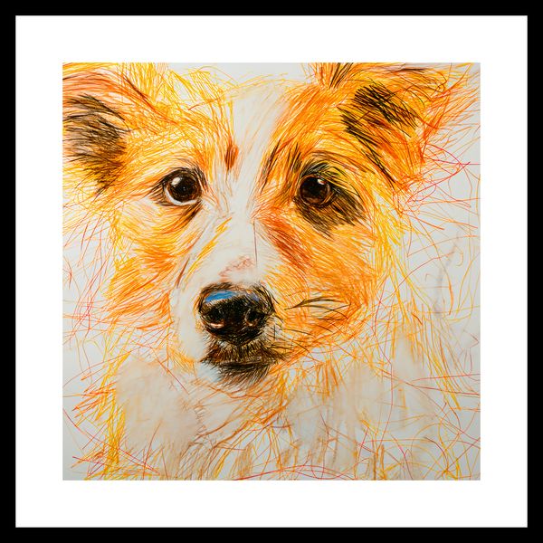 Plakat 40x40cm Uroczy Gość zdjęcie 3