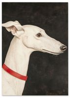 Plakat obraz biały pies 70x100 cm